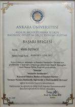 Novus Denetim ve SMMM Ltd. Şti.