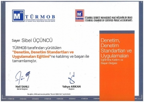 Novus Denetim ve SMMM Ltd. Şti.