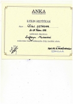 Novus Denetim ve SMMM Ltd. Şti.