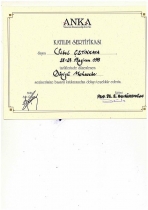 Novus Denetim ve SMMM Ltd. Şti.