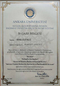 Meslek Mensuplarına İlişkin Bağımsız Denetim Geçiş Dönemi Eğitimi