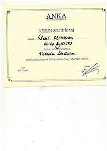İletişim Etkileşimi